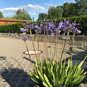  Apartment Kaitzbach-idylle Deutschland